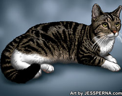 Cat portraits drawn digital art from photos