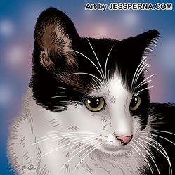 Rescue Cat Pet Portrait