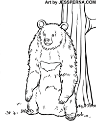 Bear Coloring Book Zoo Illustrations