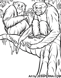 Monkeys in Tree Coloring Page