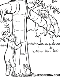Zoo Coloring Book Illustrator for hire