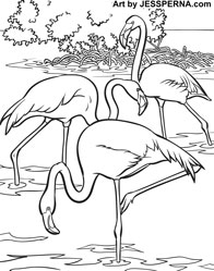 Flamingo Coloring Page Artist
