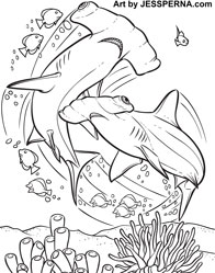 Hammerhead Coloring Page