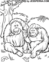 Zoo Coloring Book Illustrator