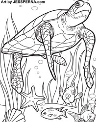 Sea Turtle Coloring Page Illustrator