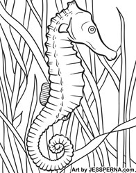 Seahorse Coloring Page Illustrator